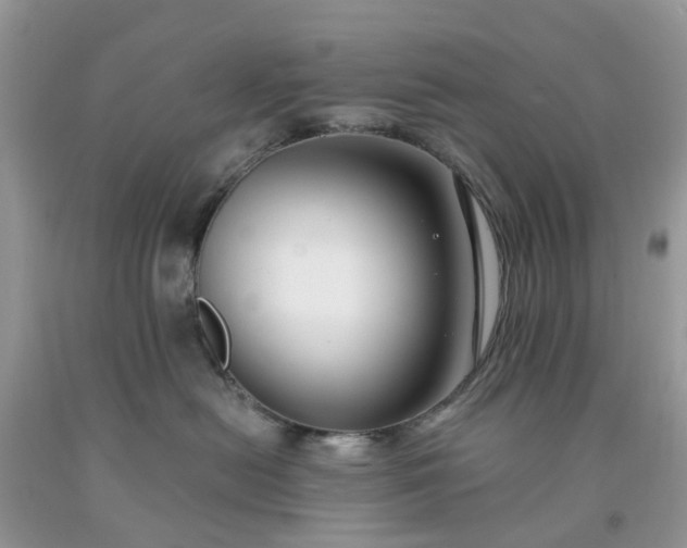 X0000091670478200709061047