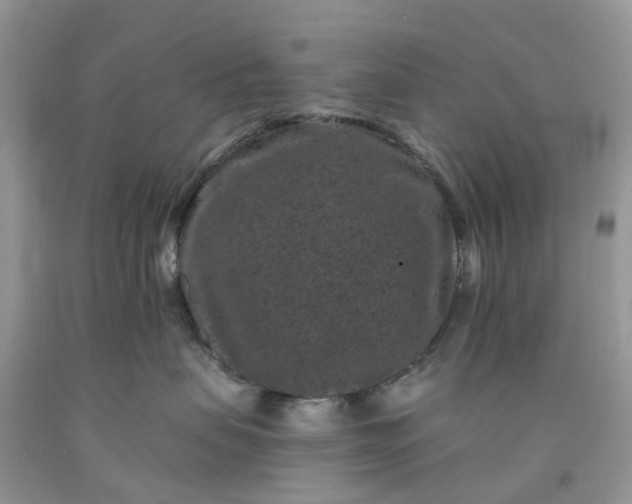 X0000091670479200709061047