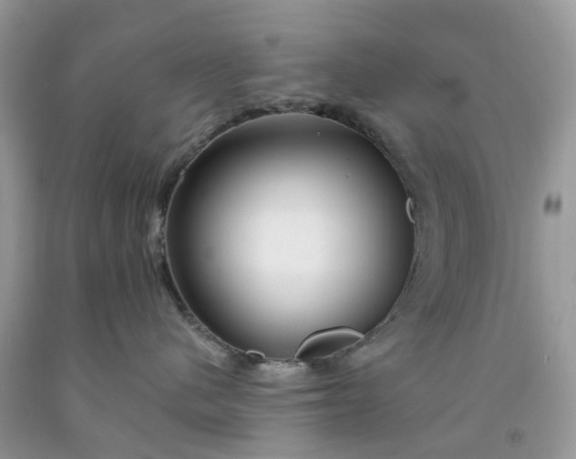 X0000091670480200709061047
