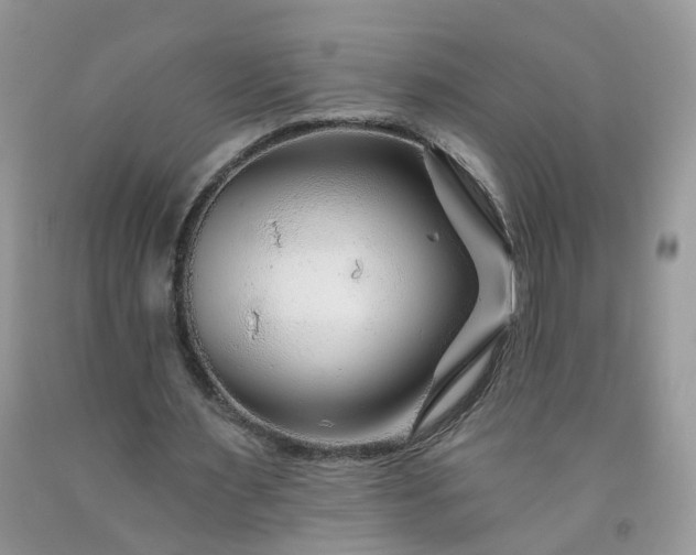 X0000091670483200709061046