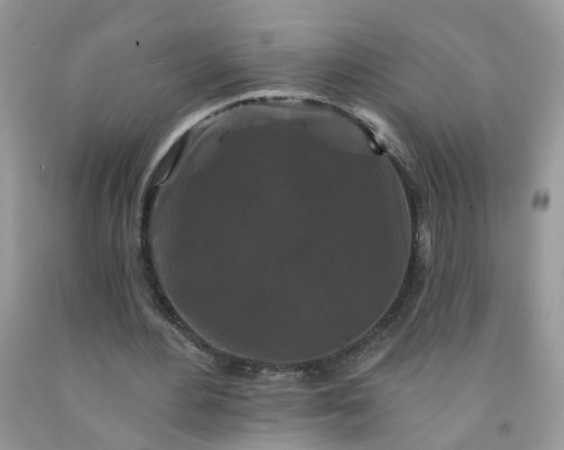 X0000091670484200709061046