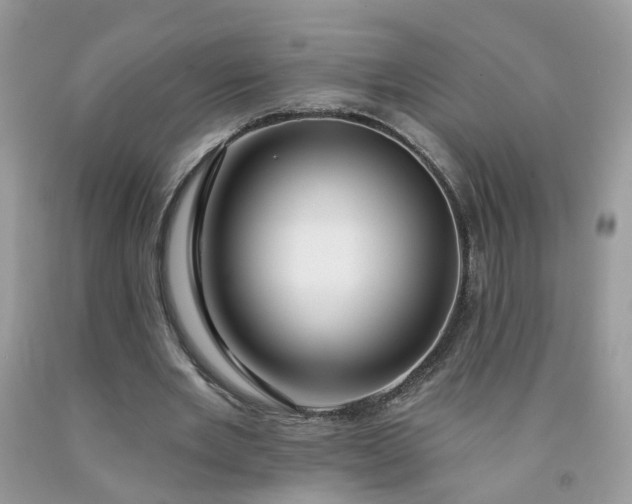 X0000091670485200709061046
