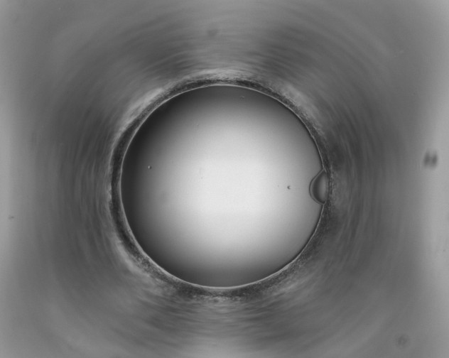 X0000091670486200709061046