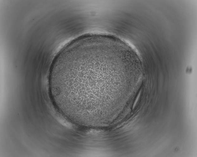 X0000091670487200709061046