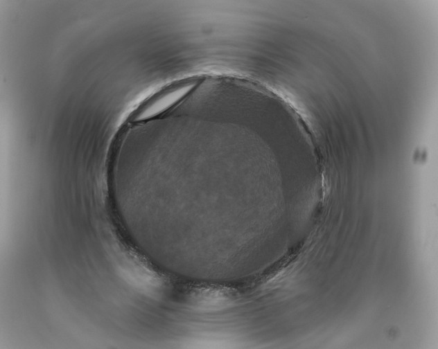 X0000091670488200709061046