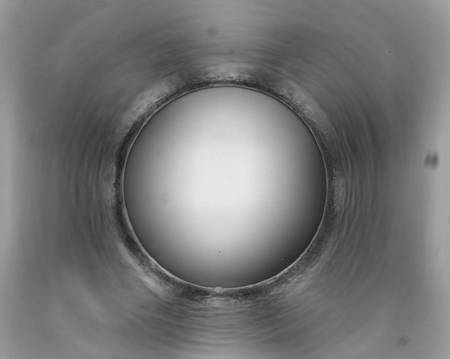 X0000091670490200709061046