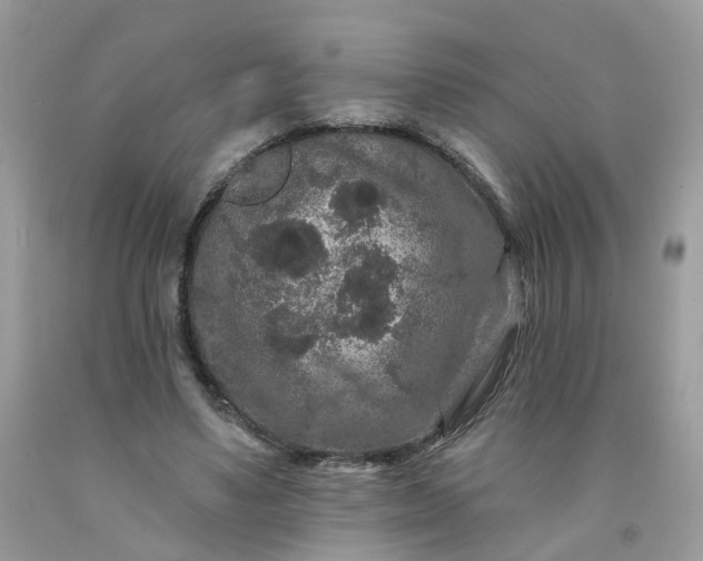 X0000091670491200709061046