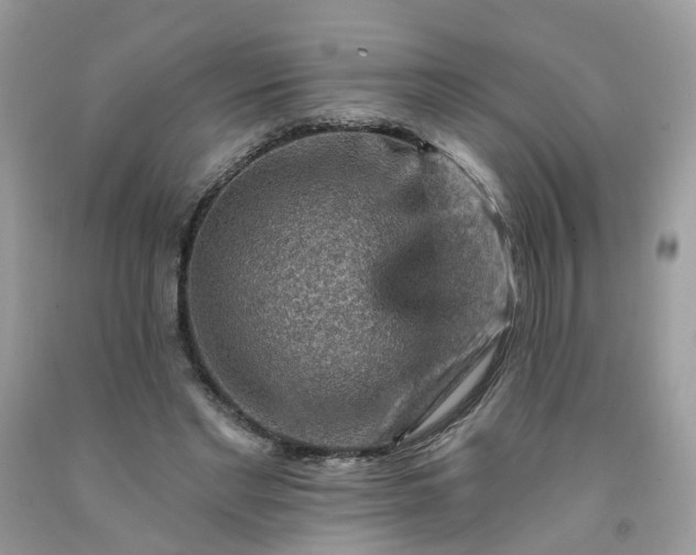 X0000091670493200709061046