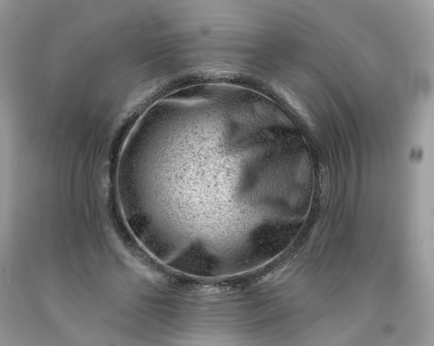 X0000091670494200709061046
