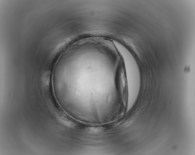 X0000091670495200709061046