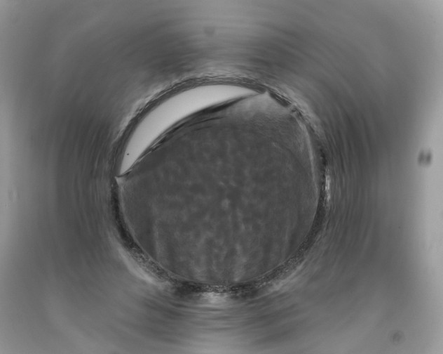 X0000091670496200709061046