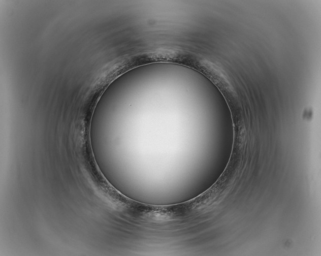 X0000091670498200709061046