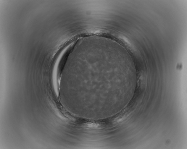 X0000091670500200709061045
