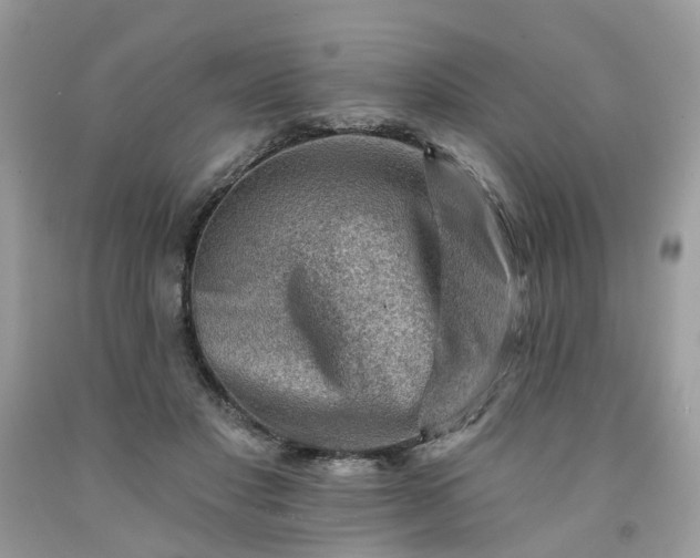 X0000091670501200709061045
