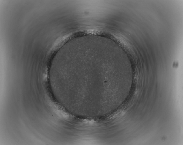 X0000091670502200709061045