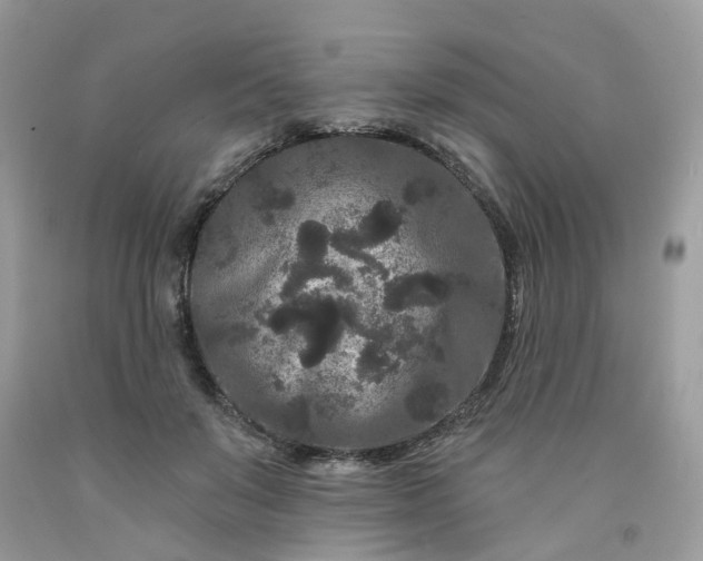 X0000091670503200709061045