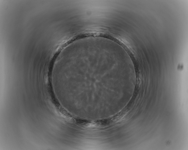 X0000091670504200709061045