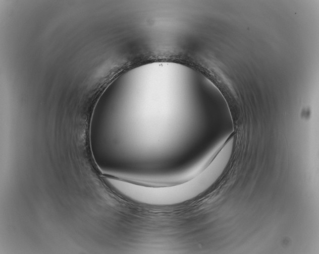 X0000091670505200709061045