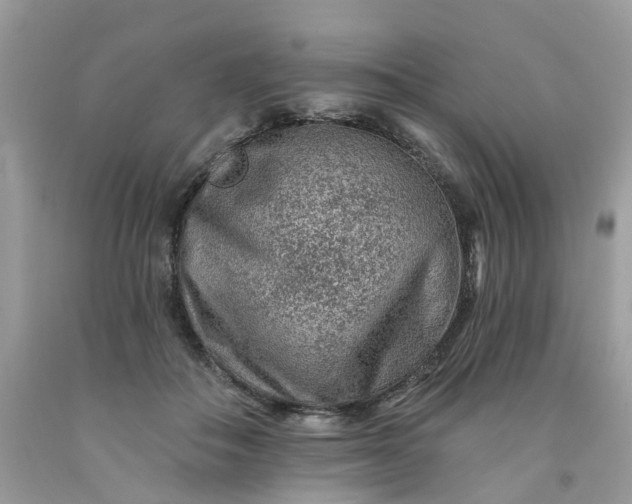 X0000091670506200709061045