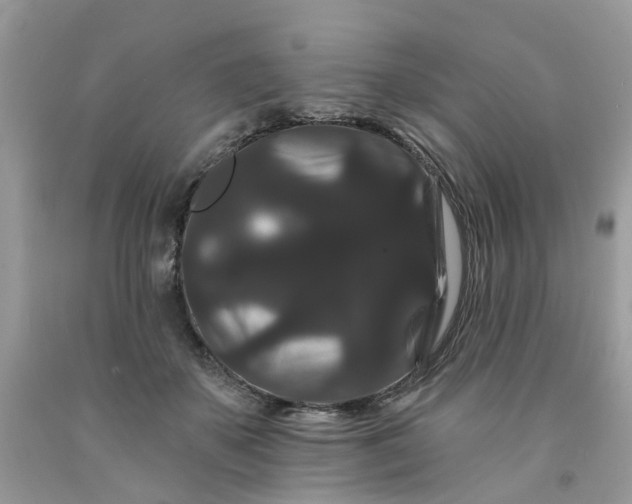 X0000091670507200709061045