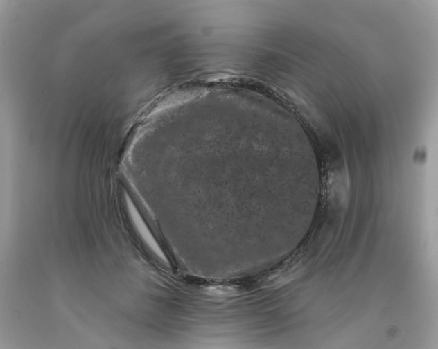 X0000091670508200709061045
