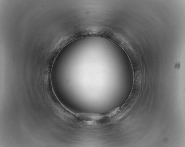 X0000091670509200709061045