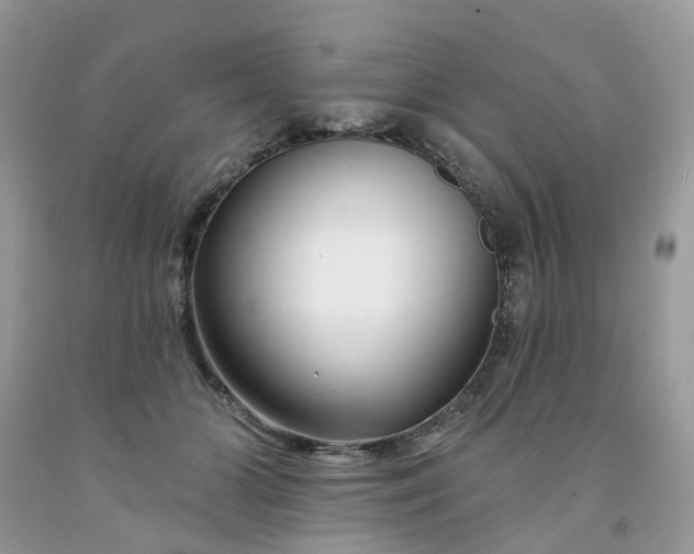 X0000091670510200709061045