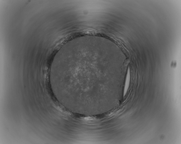 X0000091670511200709061045