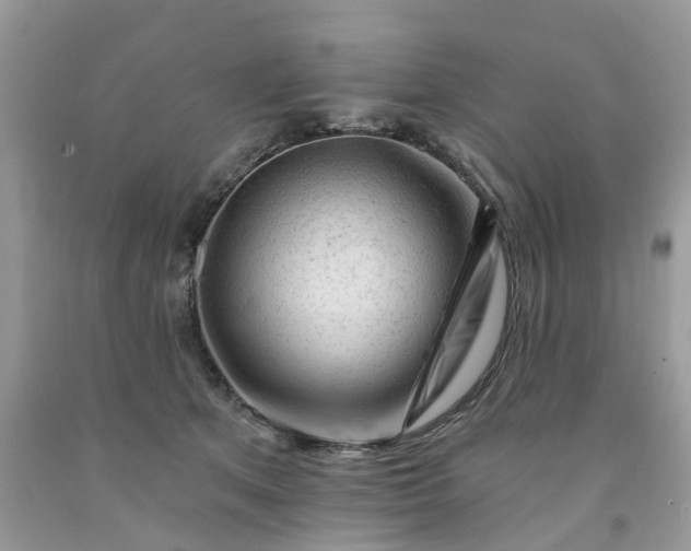 X0000091670513200709061045