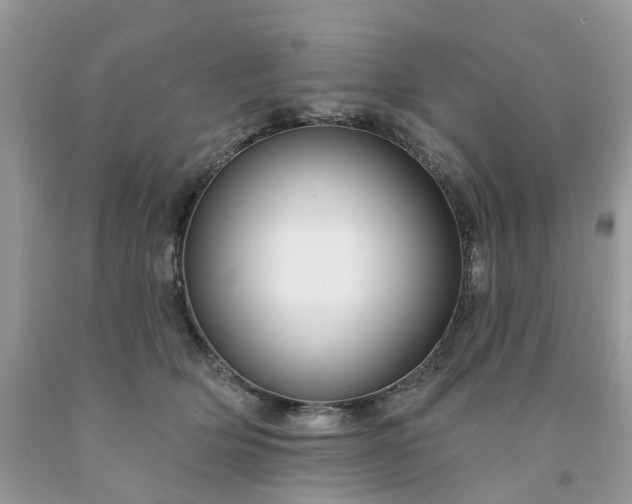 X0000091670514200709061045