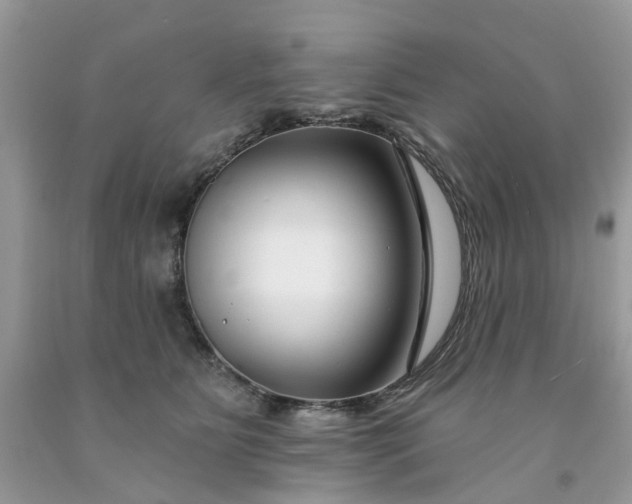 X0000091670515200709061045