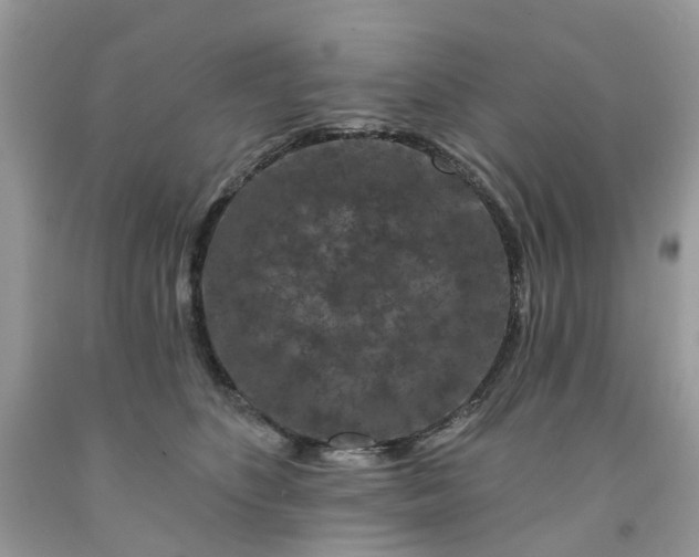 X0000091670516200709061045