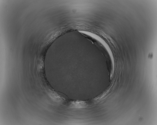 X0000091670517200709061045