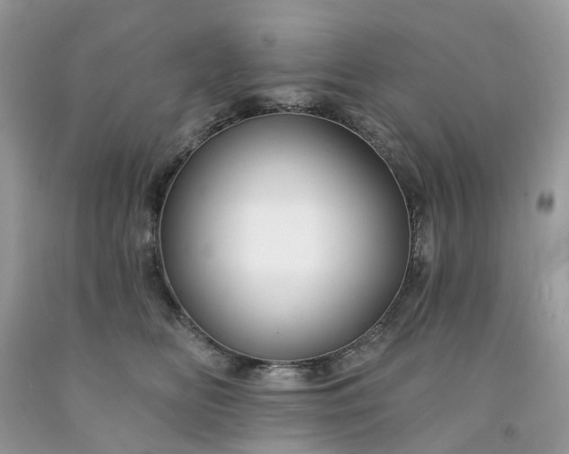X0000091670518200709061045