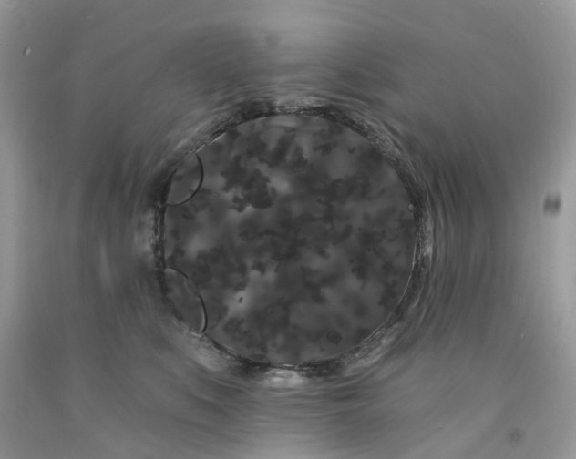 X0000091670519200709061045