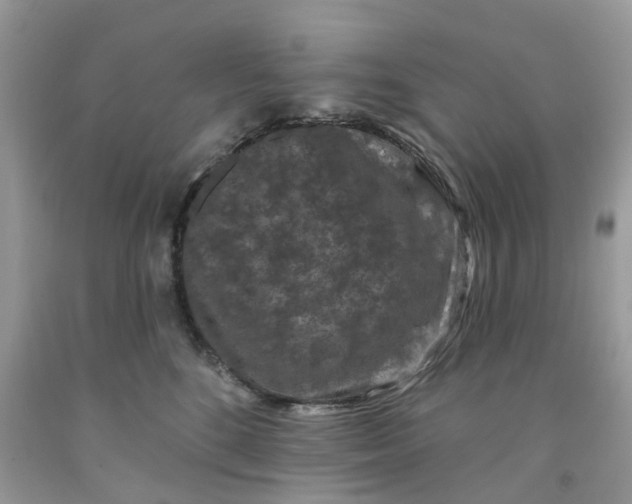 X0000091670520200709061045