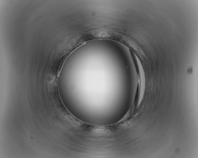 X0000091670521200709061045
