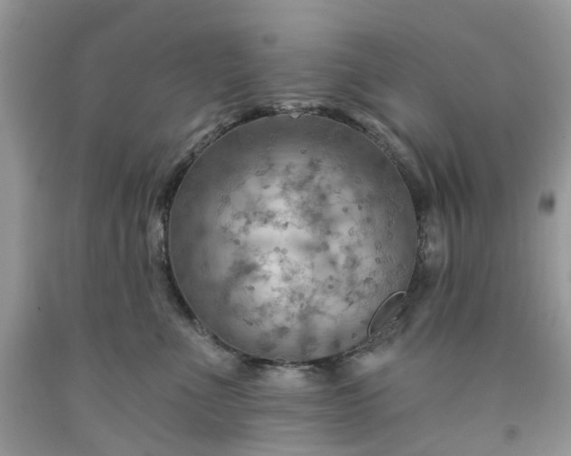 X0000091670523200709061045