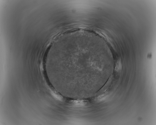 X0000091670524200709061045
