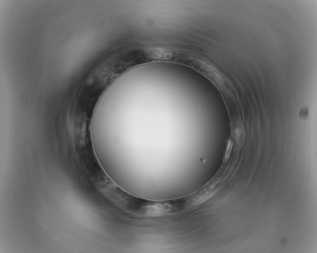 X0000091670525200709061045
