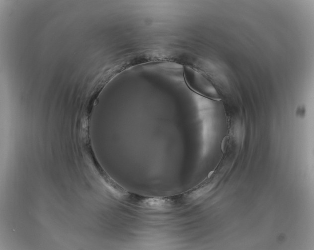X0000091670526200709061045