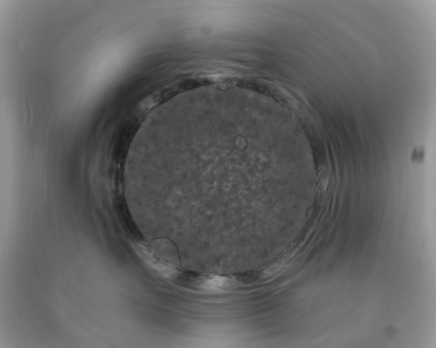 X0000091670527200709061045