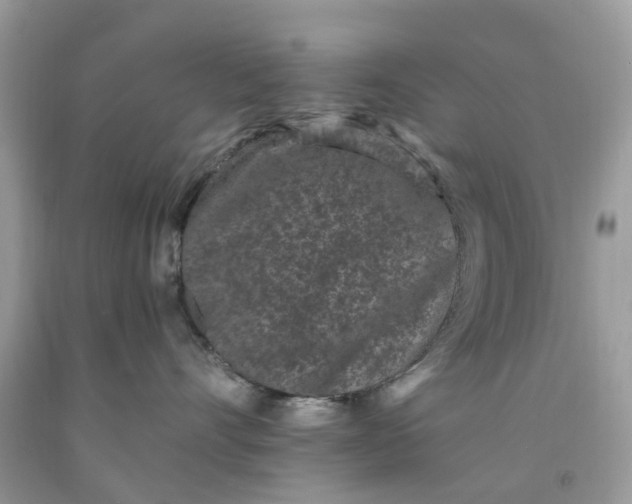 X0000091670528200709061045