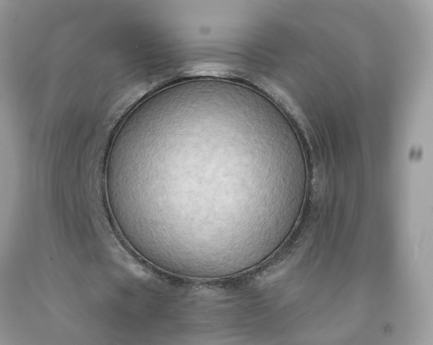 X0000091670529200709061044