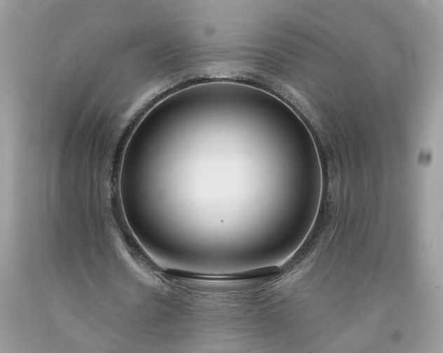 X0000091670530200709061044