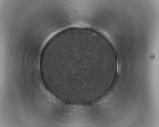 X0000091670531200709061044