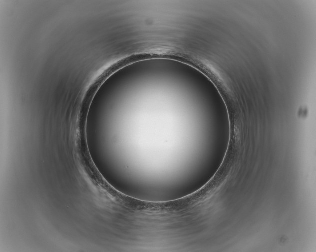 X0000091670532200709061044