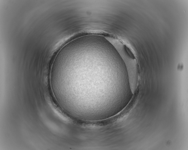 X0000091670533200709061044