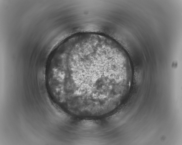 X0000091670534200709061044