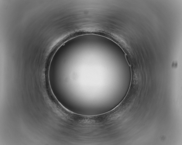 X0000091670535200709061044